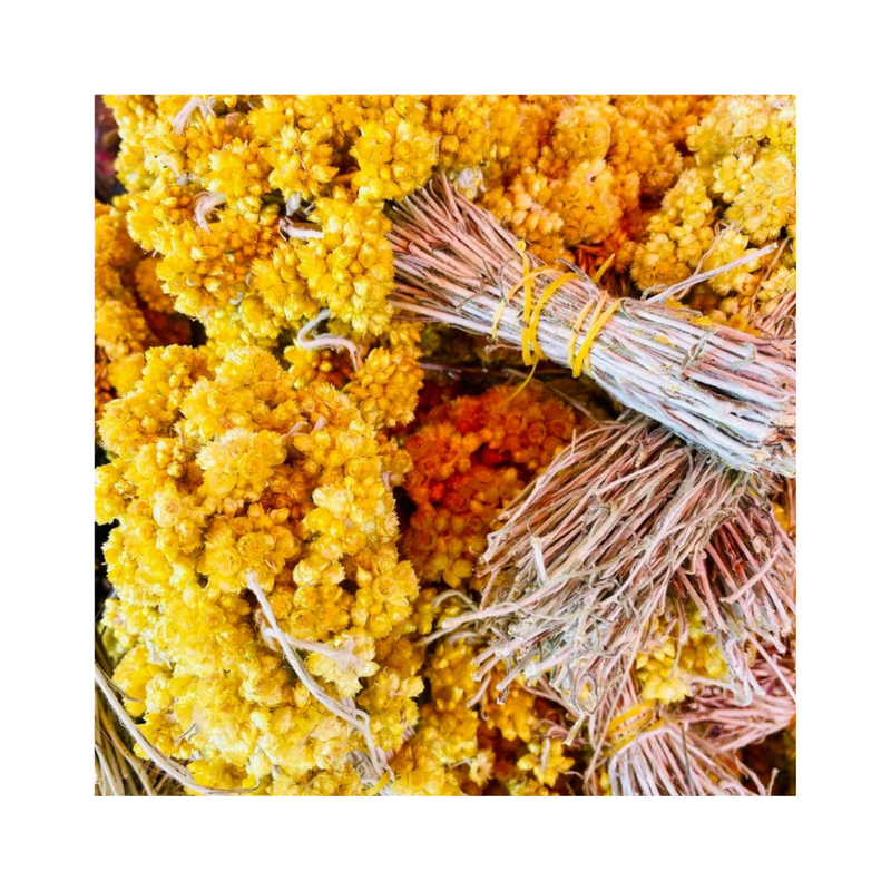 Immortelle, a natural and powerful anti-wrinkle treatment