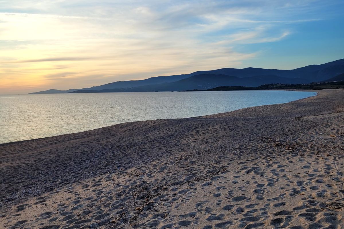 2,600 years of winemaking expertise: Corsica